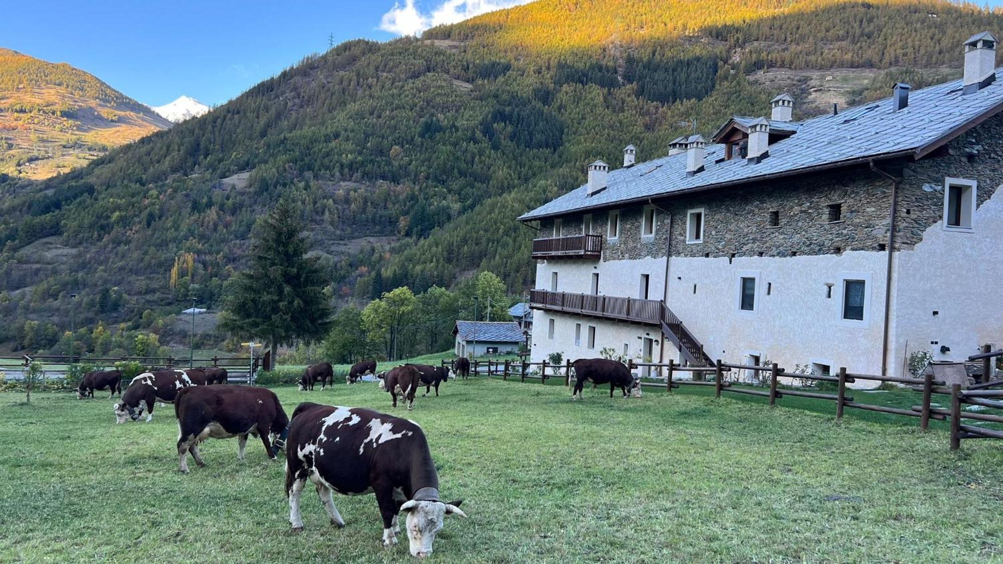 Maison Marcoz - Appartamenti Vacanze Etroubles Kültér fotó